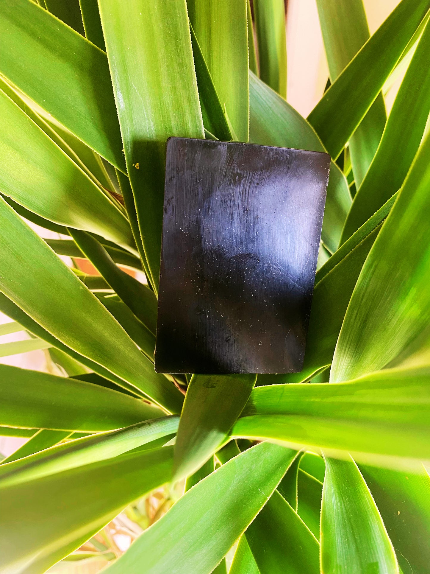 Premium Soap with Activated Charcoal and Matcha.